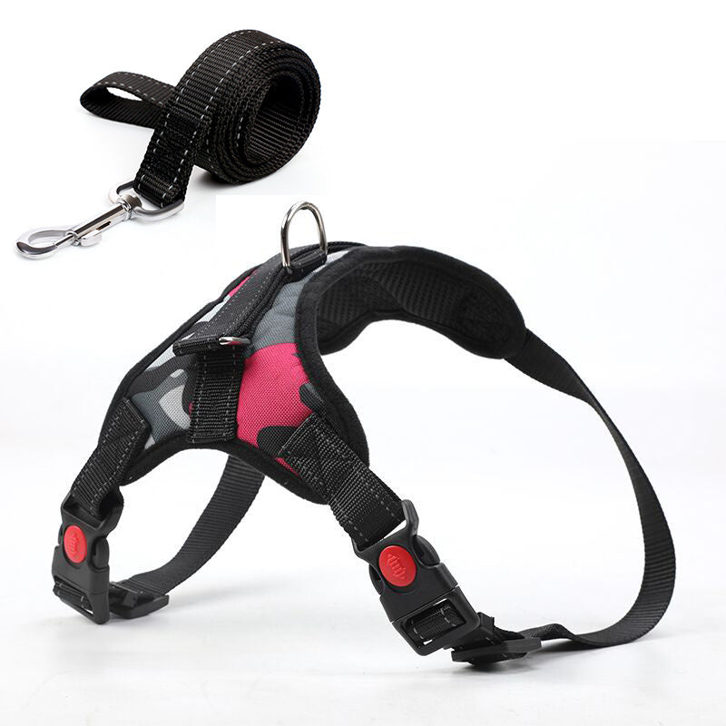 Leashes and collars