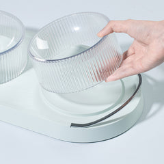 cat and dog food bowl