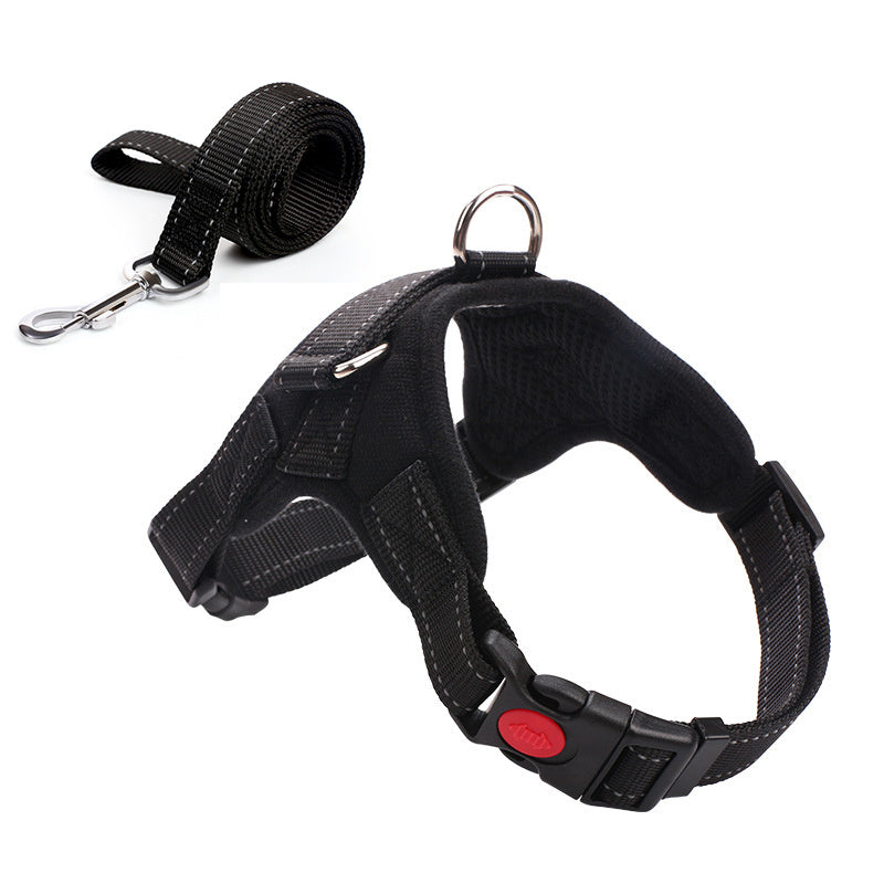 Leashes and collars