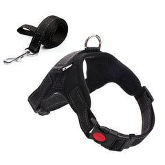 Leashes and collars
