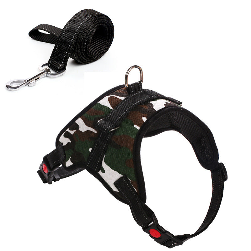 Leashes and collars