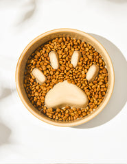 Pet Bowl