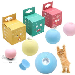 Play ball for the cat