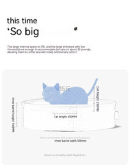 Cat Toilet