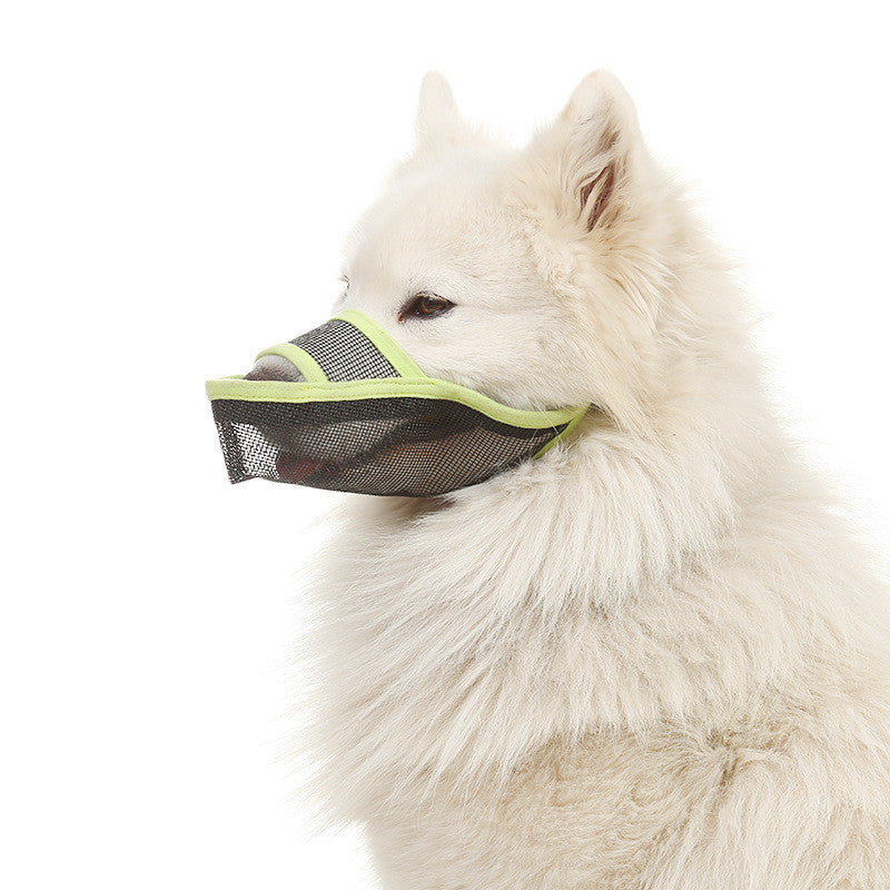 Anti-bite mask