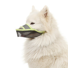 Anti-bite mask