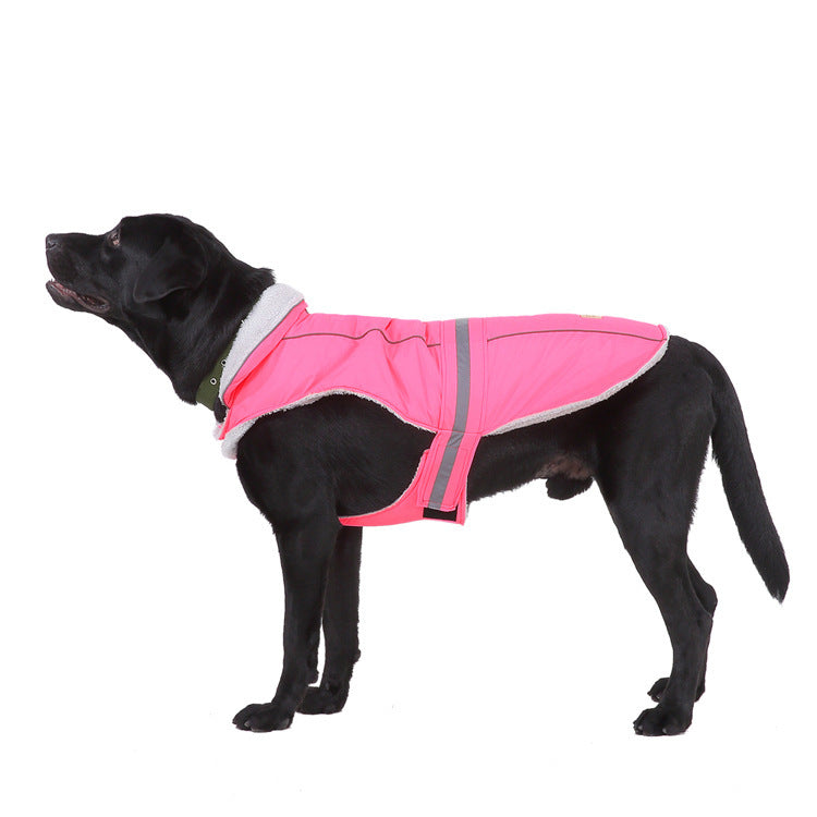 Pet clothes