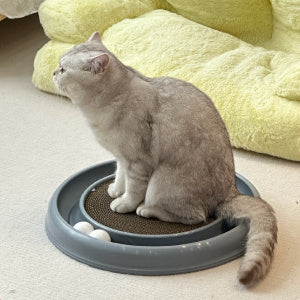 Cat Scratching Board