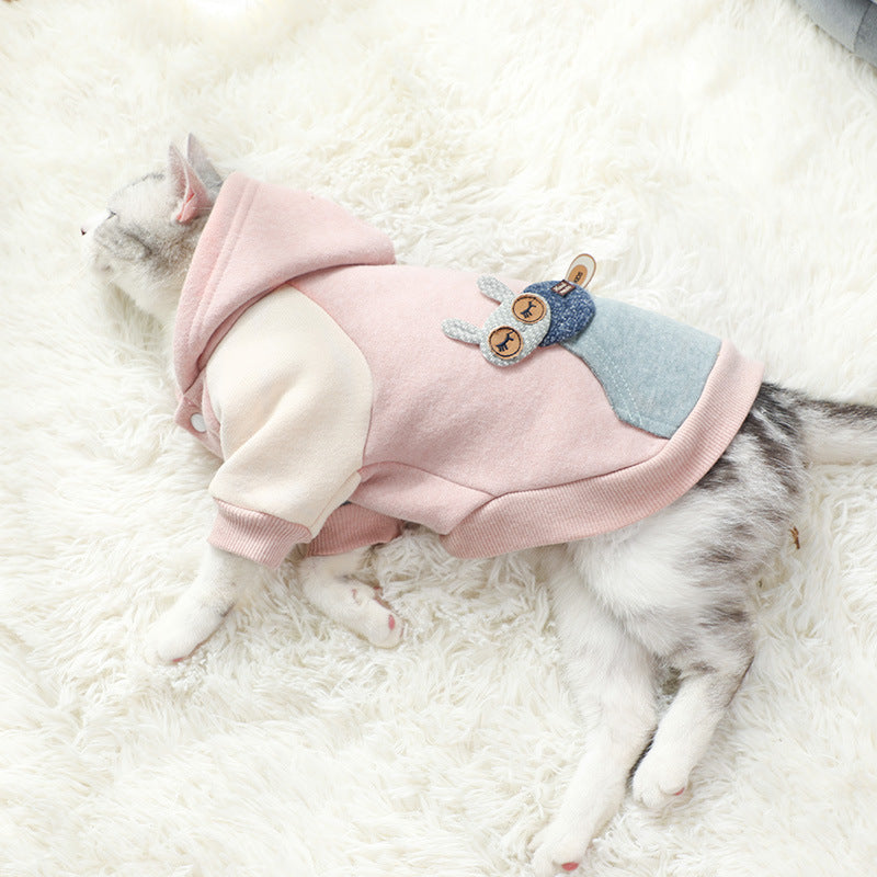 Clothes for cats