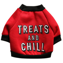 pet sweater