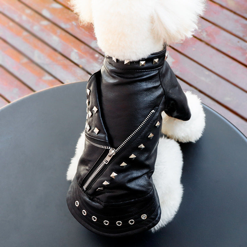 Pet clothes