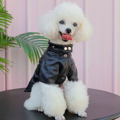 Pet clothes