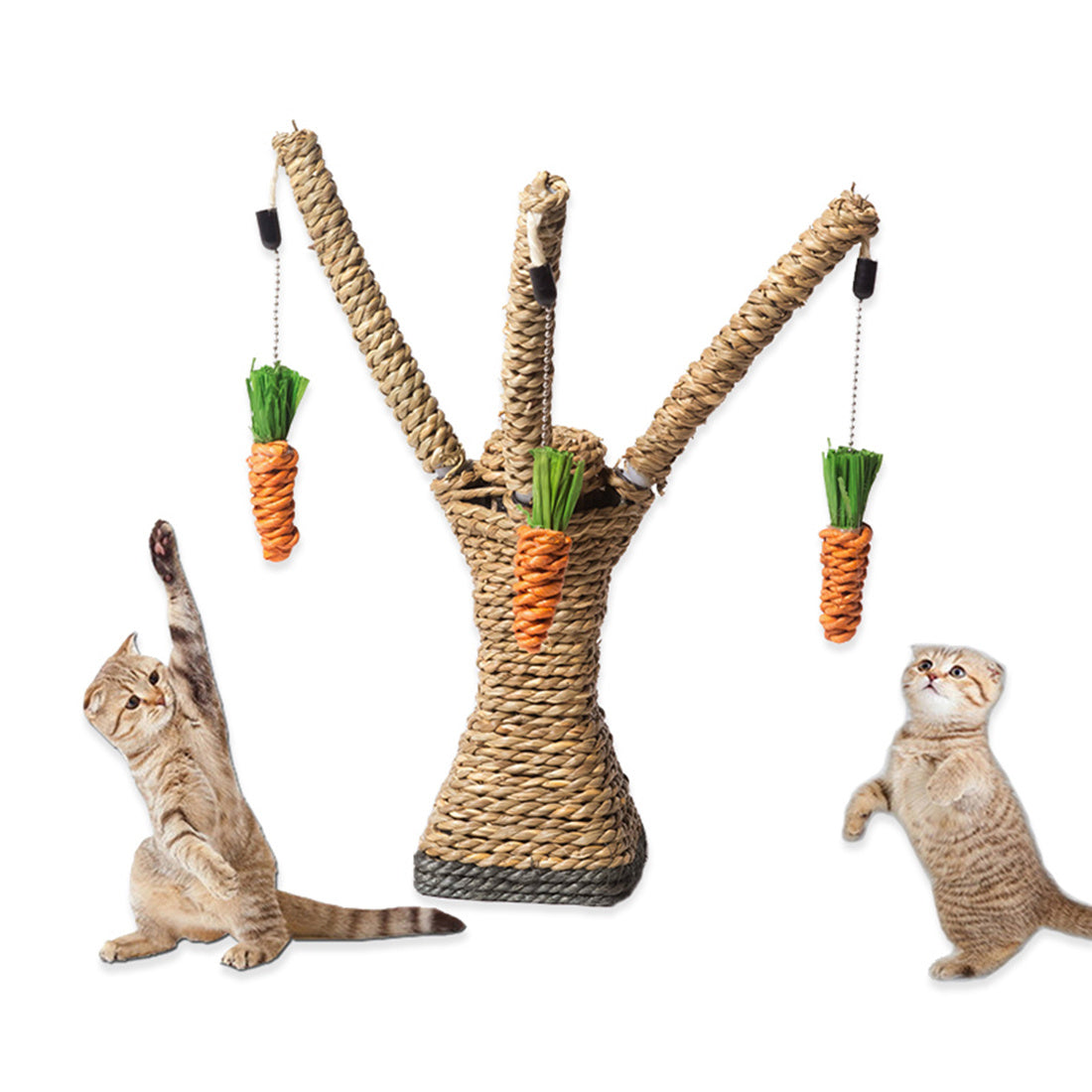 Scratching board for cats