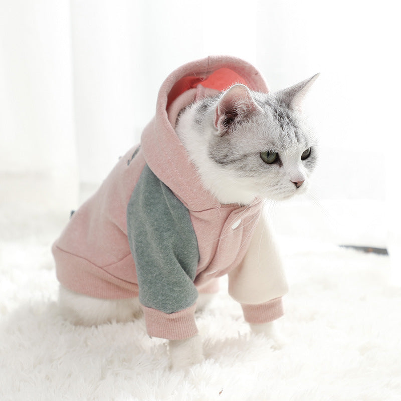 Clothes for cats
