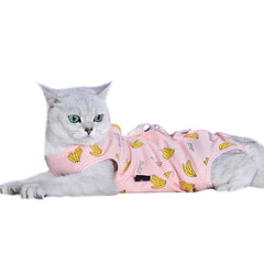Clothes For Cats