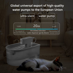 Pet Water Dispenser