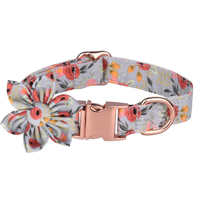 Leash Set