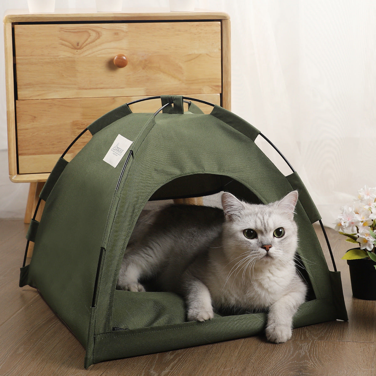 cat tent
