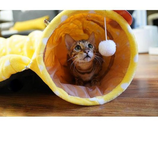 cat tunnel