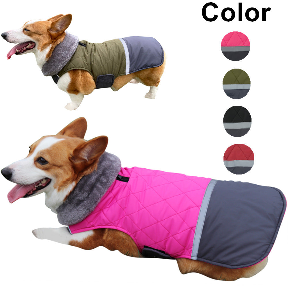 Warm coat for dogs