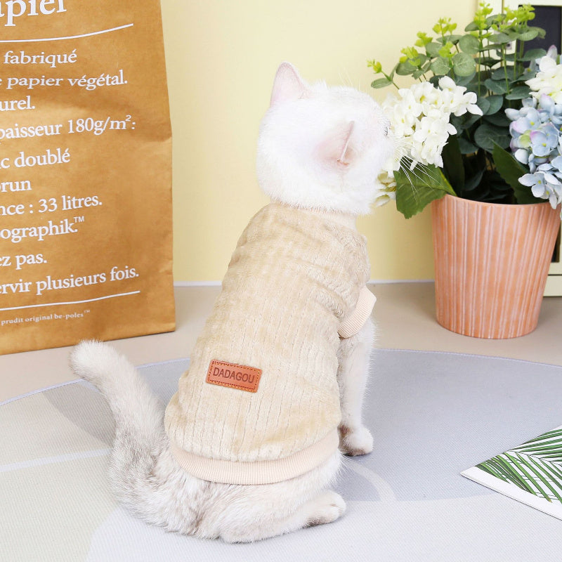 Clothes For Cats