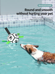 Dog Training Football