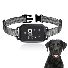 Pet Trainer