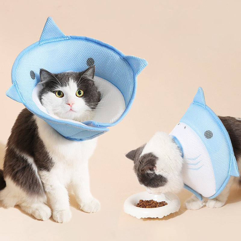 Soft collar for a cat