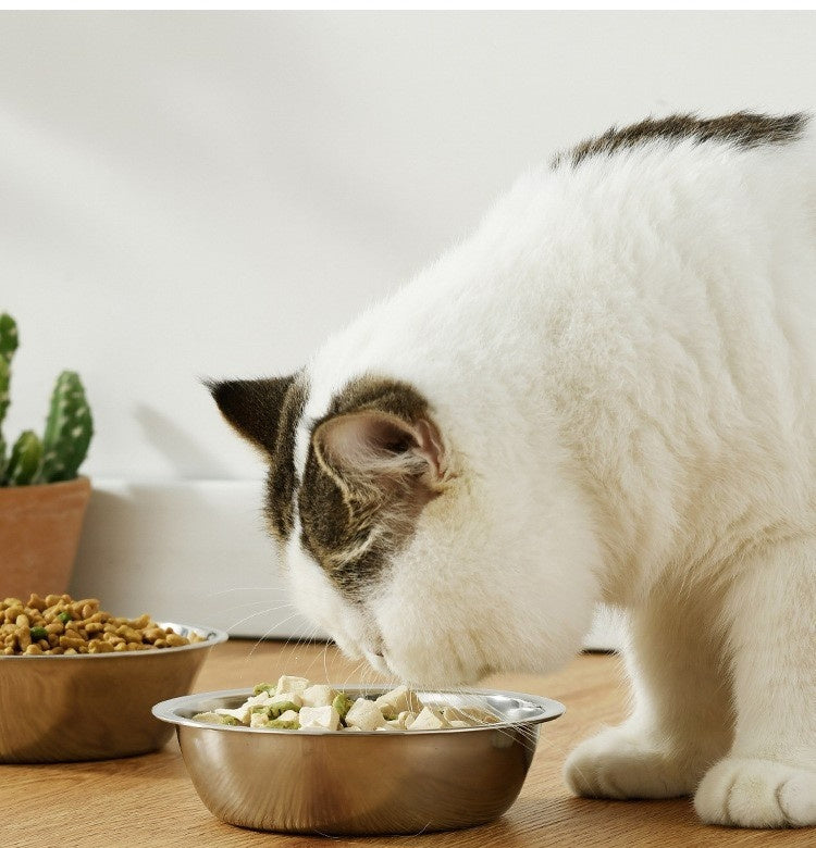 Pet Bowl