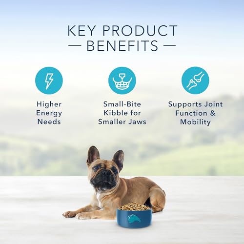 Blue Buffalo Life Protection Formula Adult Small Breed Dry Dog Food, Supports High Energy Needs, Made with Natural Ingredients, Chicken & Brown Rice Recipe, 5-lb. Bag