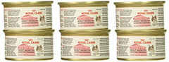 Royal Canin Adult Instinctive Thin Slices in Gravy Wet Cat Food, 3 oz can (6-pack)