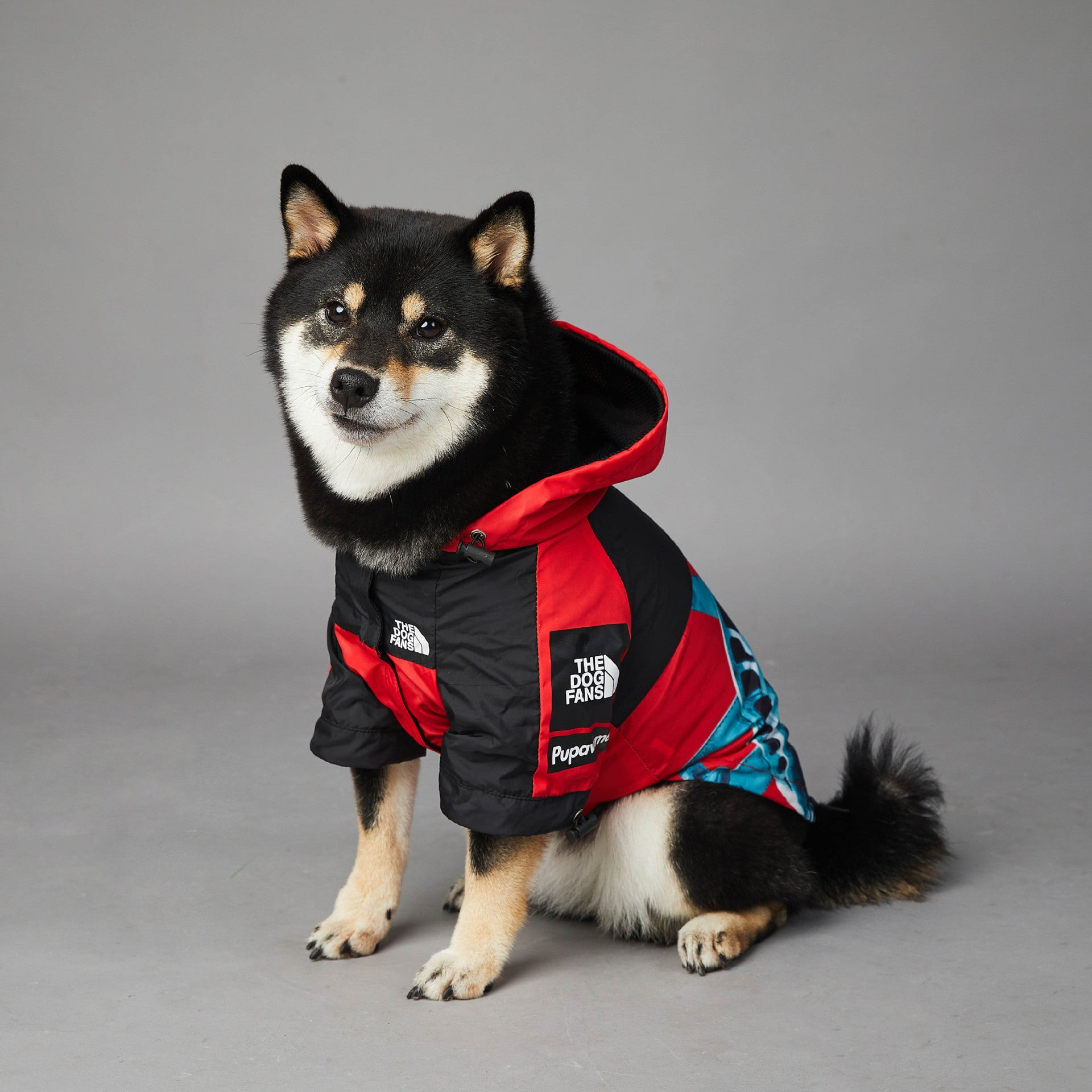Pet Shell Jacket