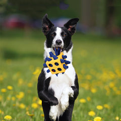 games for dogs