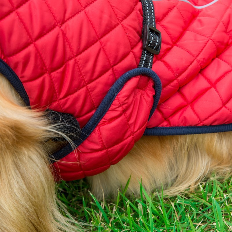Pet Cotton Jacket