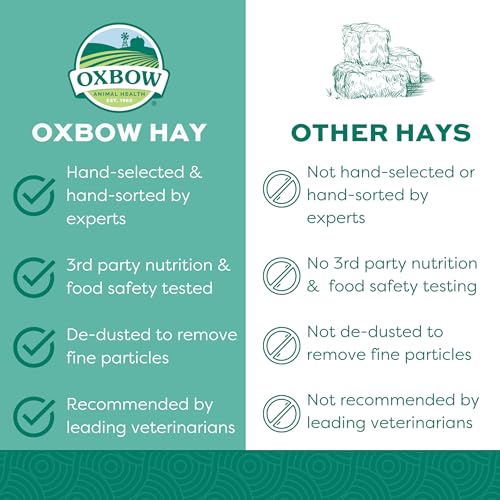 Oxbow Animal Health Orchard Grass Hay - All Natural Grass Hay for Chinchillas, Rabbits, Guinea Pigs, Hamsters & Gerbils - 15 oz.