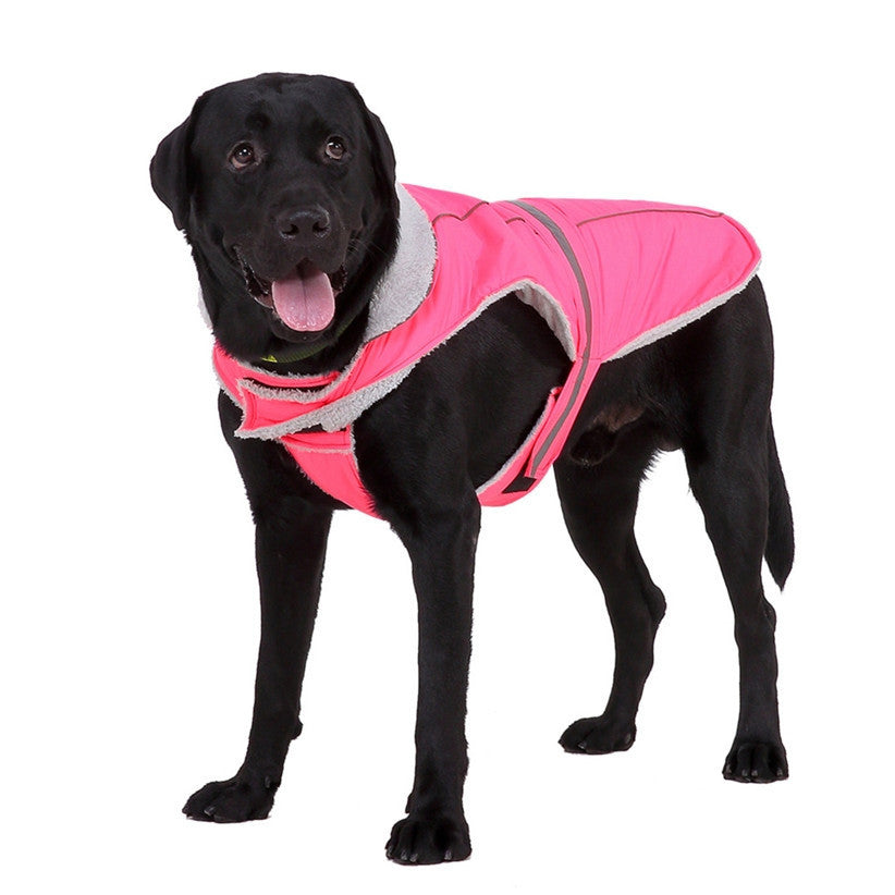 Pet clothes