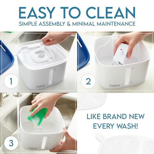 Automatic Water Dispenser