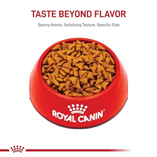 Royal Canin Hairball Care Dry Cat Food, 3 lb. bag