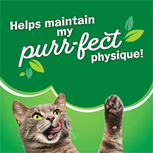 Purina Friskies Dry Cat Food, Gravy Swirlers - 22 lb. Bag