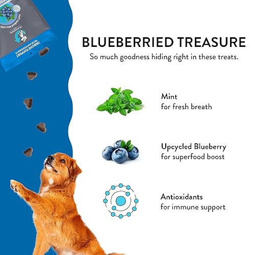 Treasure Soft Baked Biscuits