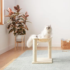 Cat Tower with Hammock and Scratching Posts for Indoor Cats, 15.8 x 15.8 x 19.7 Inches, Beige