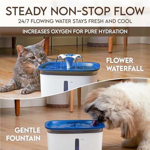 Automatic Water Dispenser