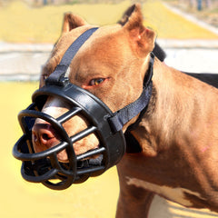 Mask Bark