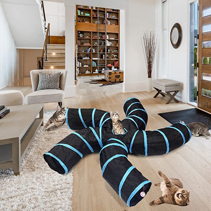 Cat tunnel