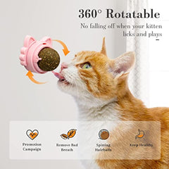 Catnip Balls For Cat