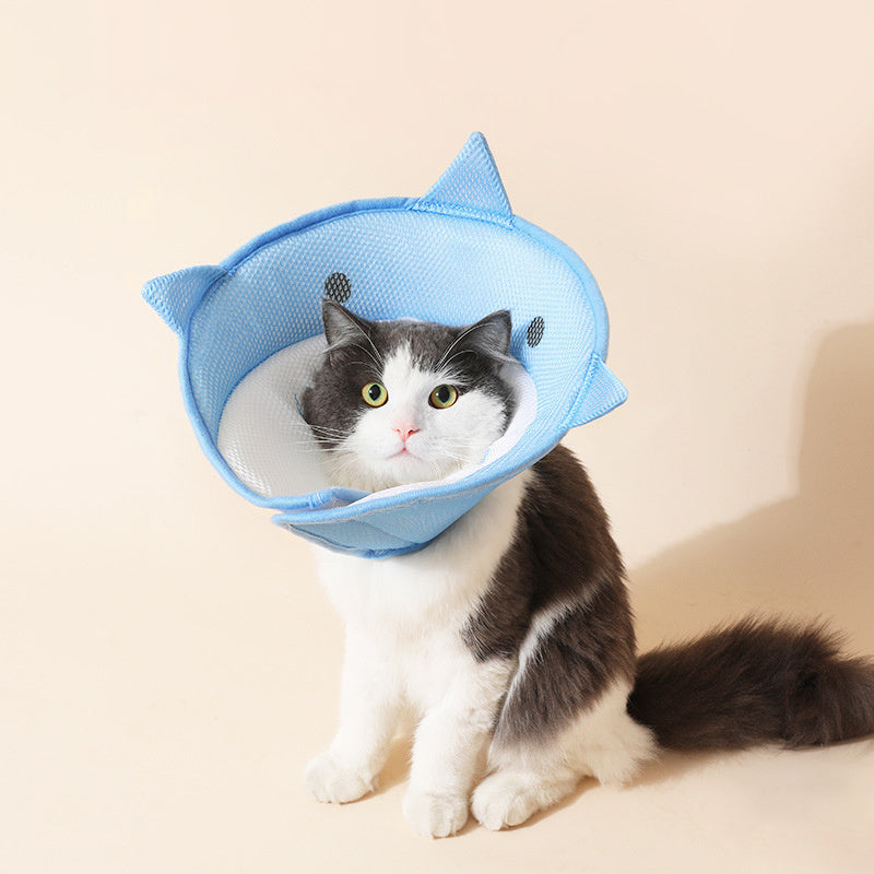 Soft collar for a cat