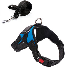 Leashes and collars