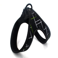 Pet Harness