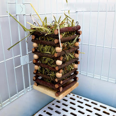 Rabbit feeding facility