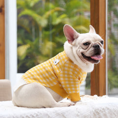 Pet Clothing